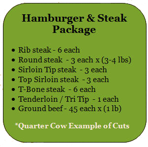 hamburgersteak